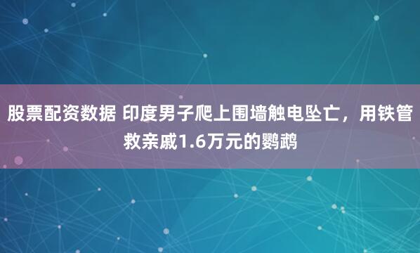 股票配资数据 印度男子爬上围墙触电坠亡，用铁管救亲戚1.6万元的鹦鹉