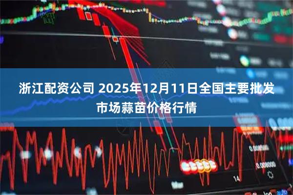 浙江配资公司 2025年12月11日全国主要批发市场蒜苗价格行情