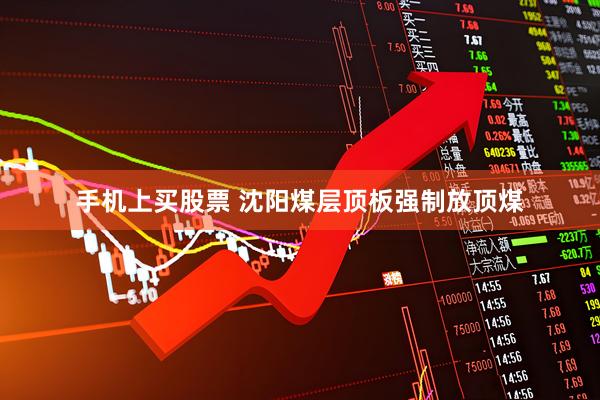 手机上买股票 沈阳煤层顶板强制放顶煤